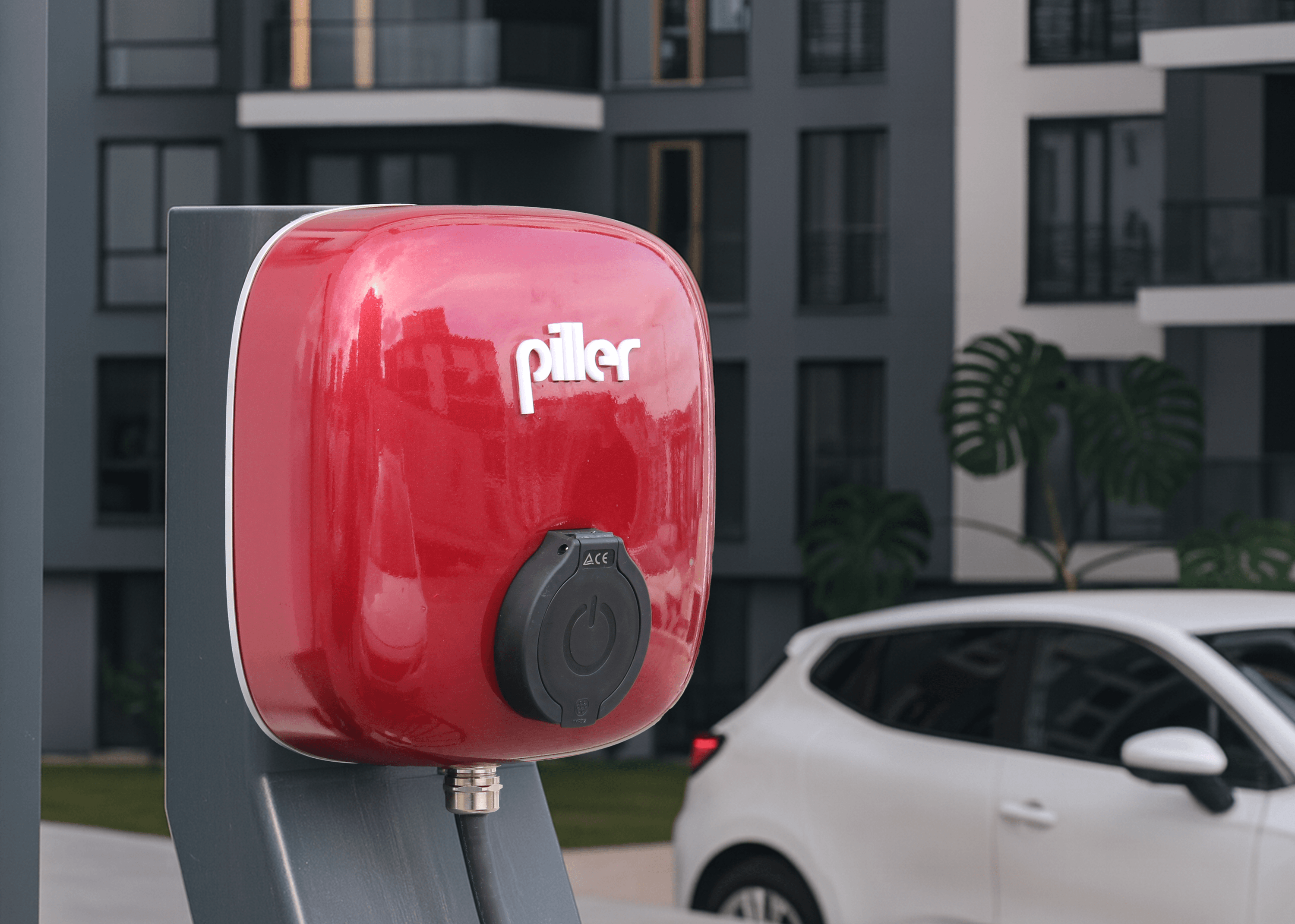 Collective Lifestyle