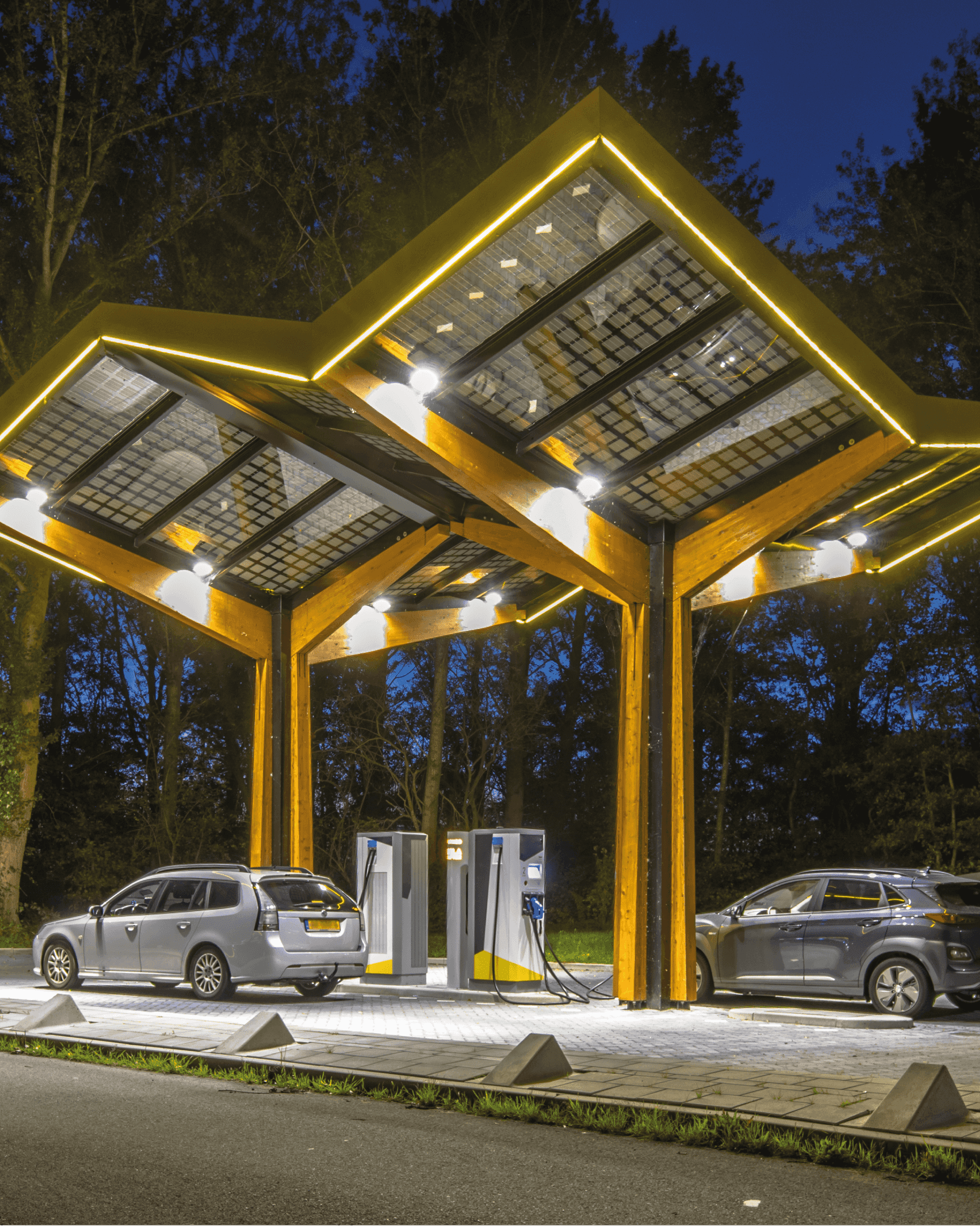 Türkiye'de Elektrikli Araçların Kullanım Oranları